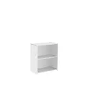 Bookcase (Solid Back Panels)